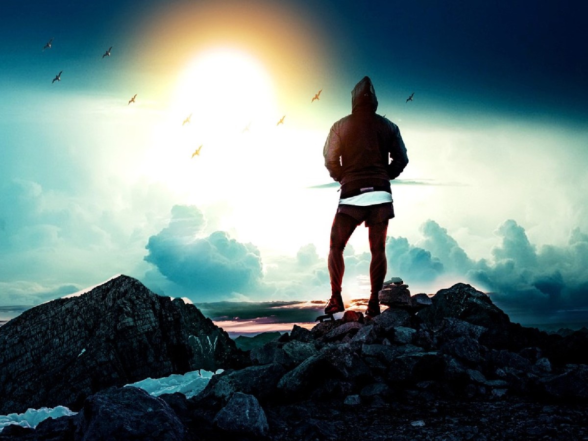 Reflexiones de Supervivencia